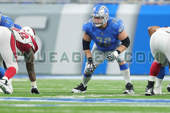 Cardinals Lions Football
