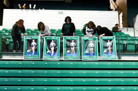 MAR 16: Western Michigan at Eastern Michigan