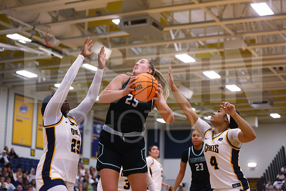 EMU Canisius Womens Basketball