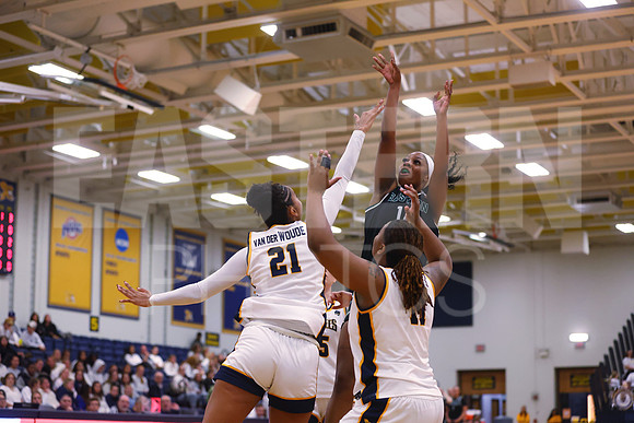 EMU Canisius Womens Basketball