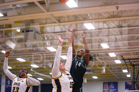 EMU Canisius Womens Basketball
