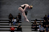 EMU,Eastern,Michigan,University, Tower,Platform,Diving,Meg,Lupa