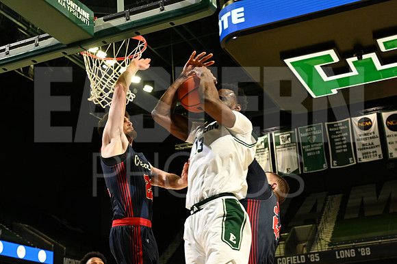 COLLEGE BASKETBALL: DEC 5 Cleary at Eastern Michigan