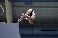 EMU,Eastern,Michigan,University, Tower,Platform,Diving,Meg,Lupa