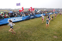 SDM16-NCAA