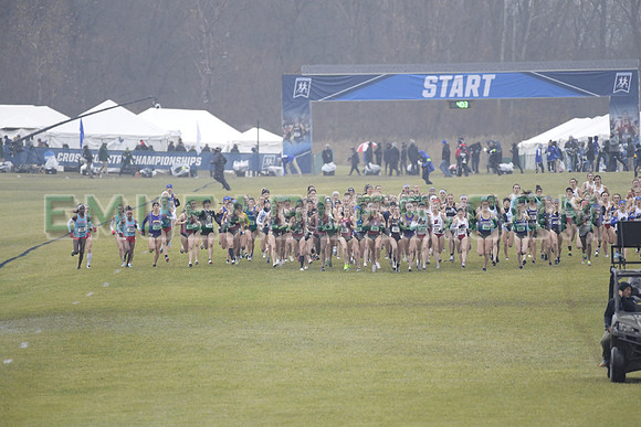 SDM16-NCAA