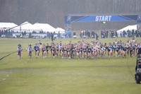 SDM16-NCAA
