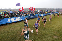 SDM16-NCAA