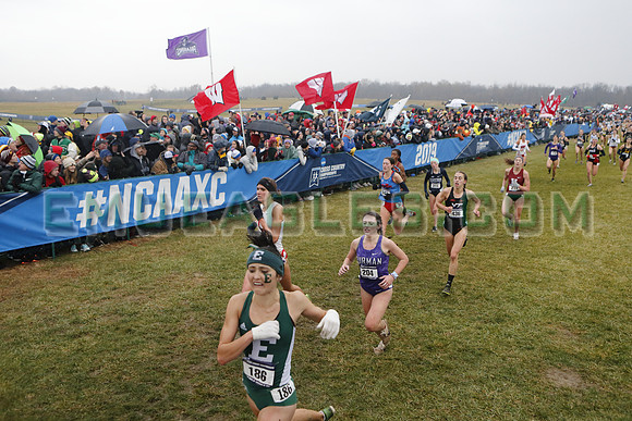 SDM16-NCAA