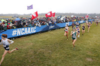 SDM16-NCAA