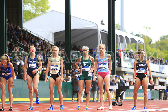 SDM16-NCAA