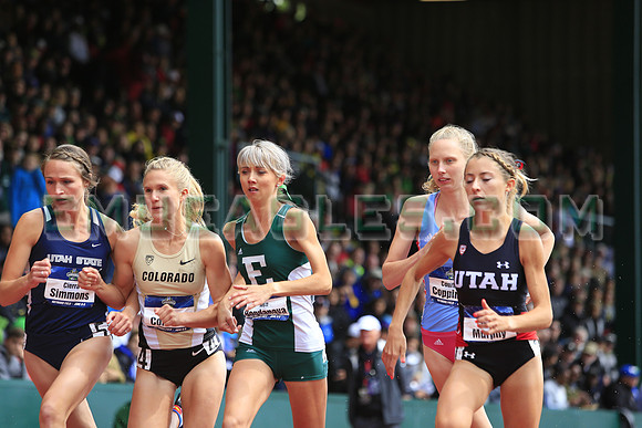SDM16-NCAA