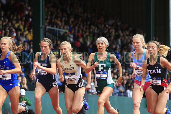SDM16-NCAA