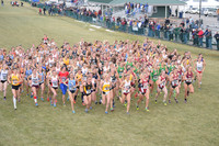 NCAA Championships (Walt Middleton)
