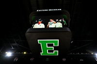 NHL: JAN 12 Hurricanes at Red Wings