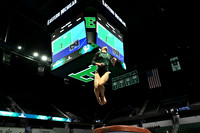 COLLEGE GYMNASTICS: JAN 17 Women’s Gymnastics Northern Illinois and SUNY Brockport at Eastern Michigan