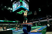 COLLEGE GYMNASTICS: JAN 17 Women’s Gymnastics Northern Illinois and SUNY Brockport at Eastern Michigan