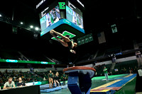 COLLEGE GYMNASTICS: JAN 17 Women’s Gymnastics Northern Illinois and SUNY Brockport at Eastern Michigan