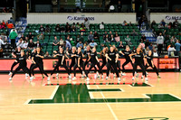 Dance team