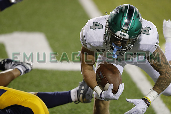 FOT20-EMU@KSU