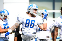 NFL: AUG 02 Lions Training Camp