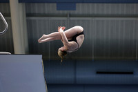 EMU,Eastern,Michigan,University, Tower,Platform,Diving,Meg,Lupa