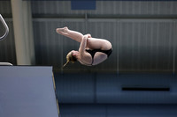 EMU,Eastern,Michigan,University, Tower,Platform,Diving,Meg,Lupa
