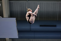 EMU,Eastern,Michigan,University, Tower,Platform,Diving,Meg,Lupa