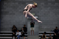 EMU,Eastern,Michigan,University, Tower,Platform,Diving,Meg,Lupa