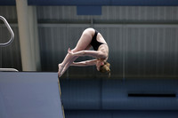 EMU,Eastern,Michigan,University, Tower,Platform,Diving,Meg,Lupa