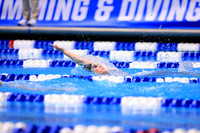 SDM16-NCAA