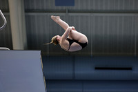 EMU,Eastern,Michigan,University, Tower,Platform,Diving,Meg,Lupa