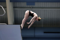 EMU,Eastern,Michigan,University, Tower,Platform,Diving,Meg,Lupa