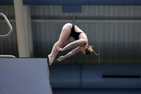 EMU,Eastern,Michigan,University, Tower,Platform,Diving,Meg,Lupa