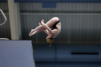 EMU,Eastern,Michigan,University, Tower,Platform,Diving,Meg,Lupa