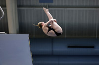EMU,Eastern,Michigan,University, Tower,Platform,Diving,Meg,Lupa