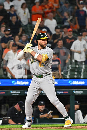 MLB: JUN 24 Athletics at Tigers