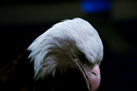 2022 Group shots w/Eagle