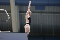 EMU,Eastern,Michigan,University, Tower,Platform,Diving,Meg,Lupa