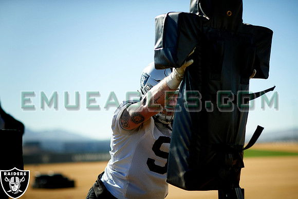 2020 Las Vegas Raiders