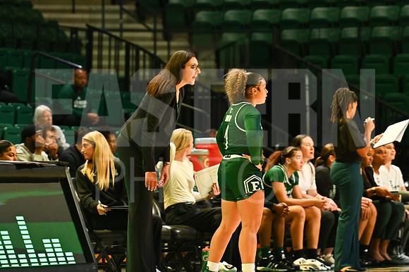 COLLEGE BASKETBALL: NOV 04 Women's - Texas State at Eastern Michigan